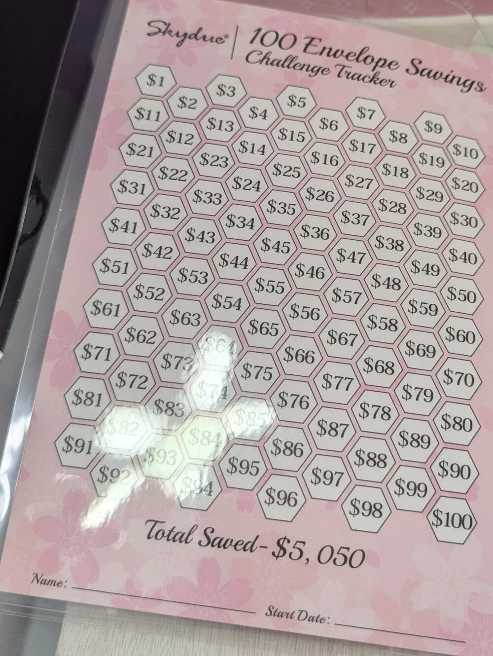 100 Envelope Money Saving Challenge Binder Save $5050 Budget Book Pink